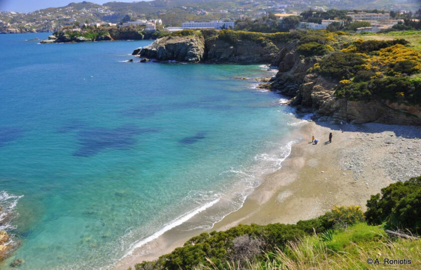 Psaromoura Beach